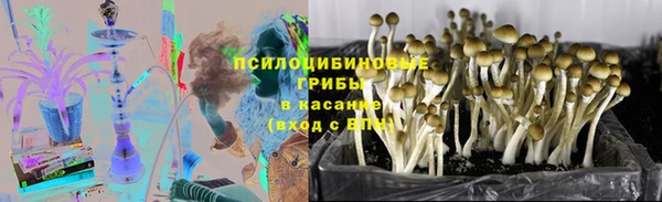 дурь Покровск