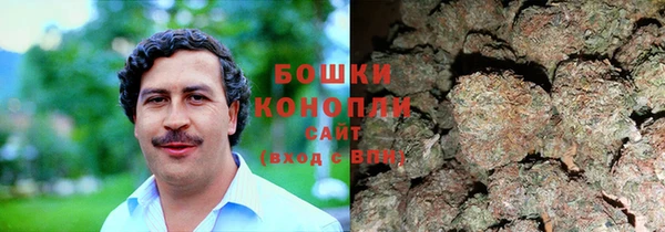 стафф Приозерск
