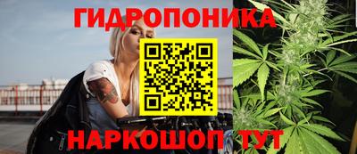 стафф Будённовск