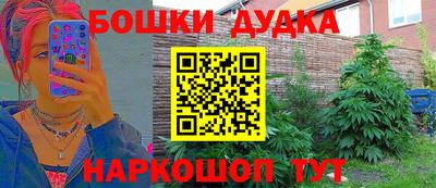стафф Будённовск