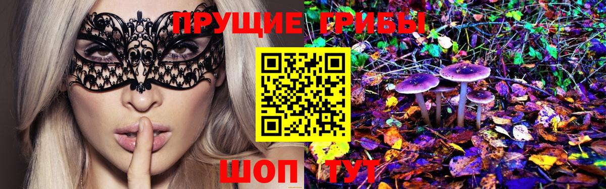 Псилоцибиновые грибы GOLDEN TEACHER Усолье-Сибирское